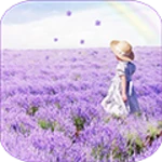 lavender android application logo